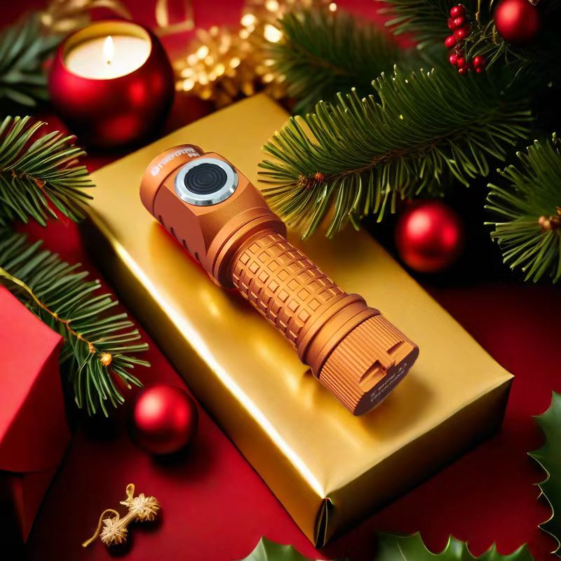 Weatherproof Firefly P01 14500 – Fireflies outdoor Flashlights