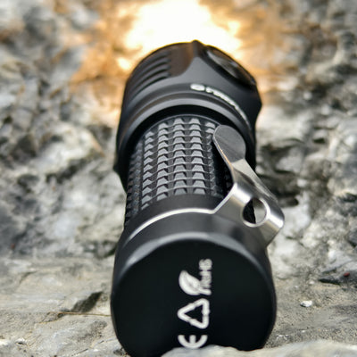 X4 Stellar 2025